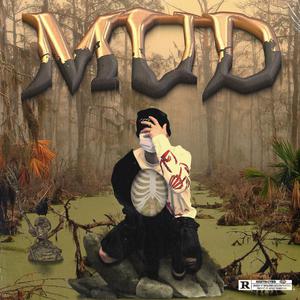 何丽萍宝丁酒店
